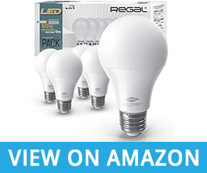 Regal LED A19 Light Bulb 5000K Daylight 800-Lumen
