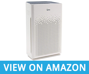Winix AM90 Wi-Fi Air Purifier for Average Sized Apartment