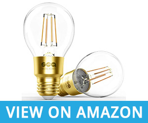 SEALIGHT Smart Light Bulb Glass Vintage Edison Light