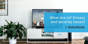 What Are IoT Privacy and Security Issues - SmartHousesTech.com