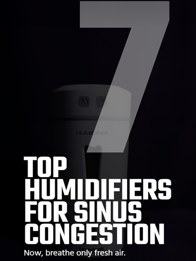 Best Humidifier For Sinus Congestion - Web Story